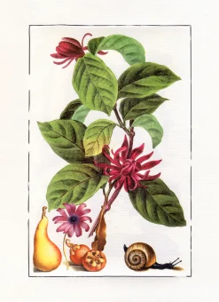 Ilustracja kompozycja ze ślimakiem