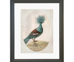 Ilustracja Ptasia dama