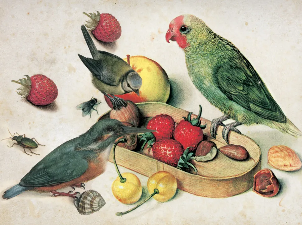 Ilustracja tropikalna martwa natura