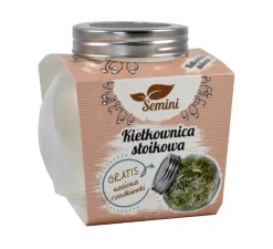 Kiełkownica słoikowa słoik na kiełki