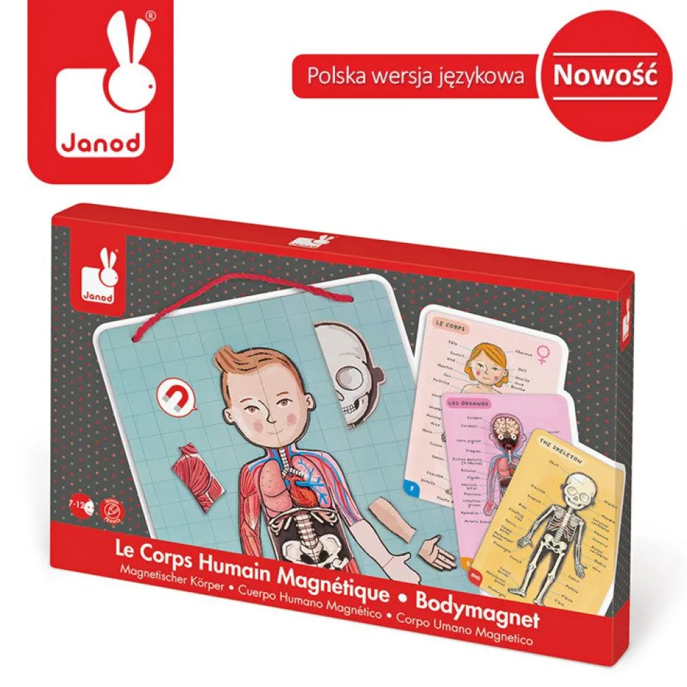 Magnetyczna układanka Ciało człowieka 3+ Janod