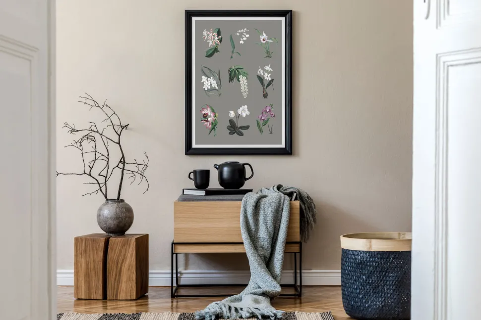 Plakat A3 Storczyk Orchidea