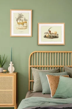 Plakat retro antylopy