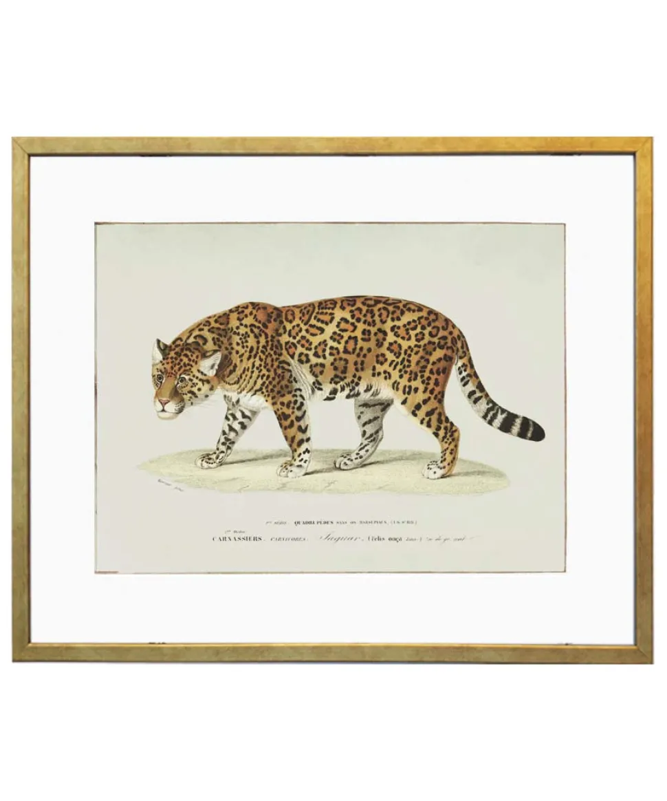 Plakat retro jaguar
