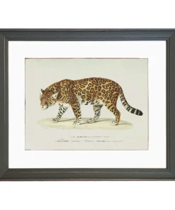 Plakat retro jaguar