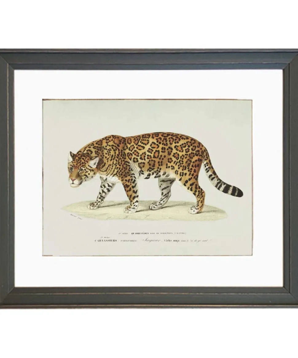 Plakat retro jaguar
