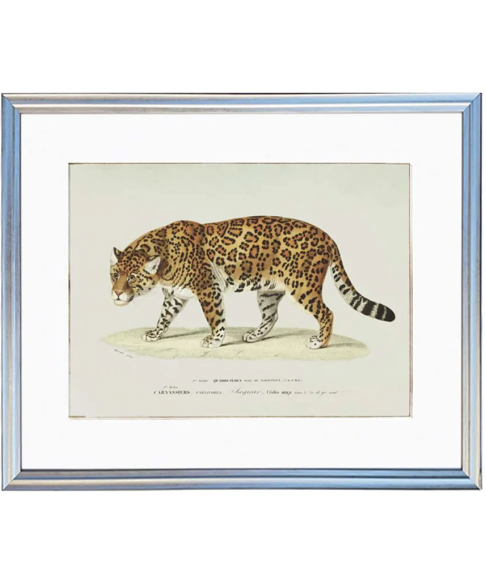 Plakat retro jaguar