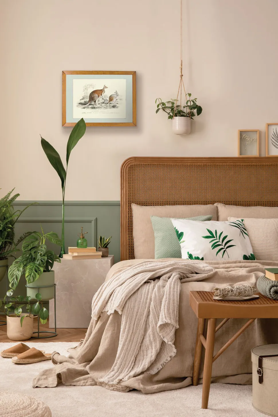 Plakat retro kangury