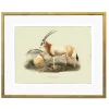 Plakat retro oryks