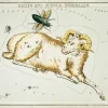 Plakat znaki zodiaku retro - Baran
