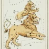 Plakat znaki zodiaku retro - Lew