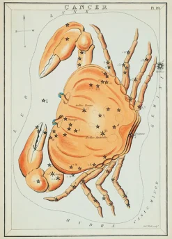 Plakat znaki zodiaku retro - Rak