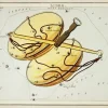 Plakat znaki zodiaku retro - Waga