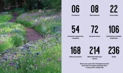 Projektowanie ogrodów naturalistycznych