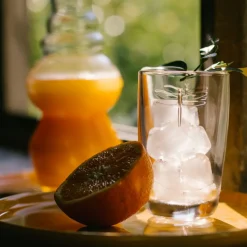 Szklanki Libellules Ważka La Rochere przezroczyste 390 ml 6 szt.